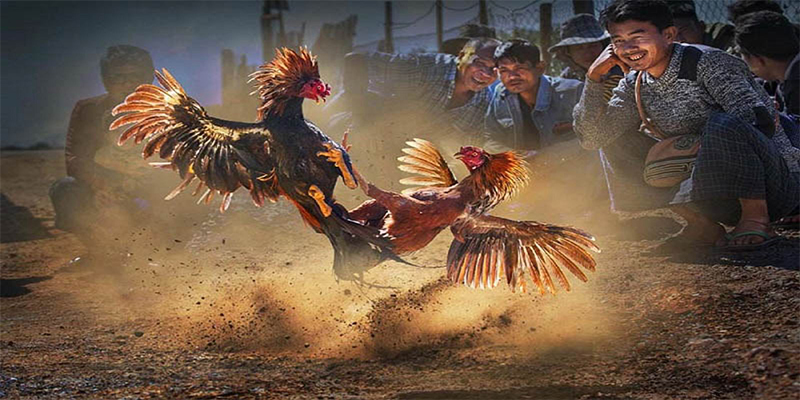 hit88 đăng nhập roulette số 1