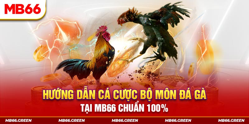 hit88 xổ số bình định