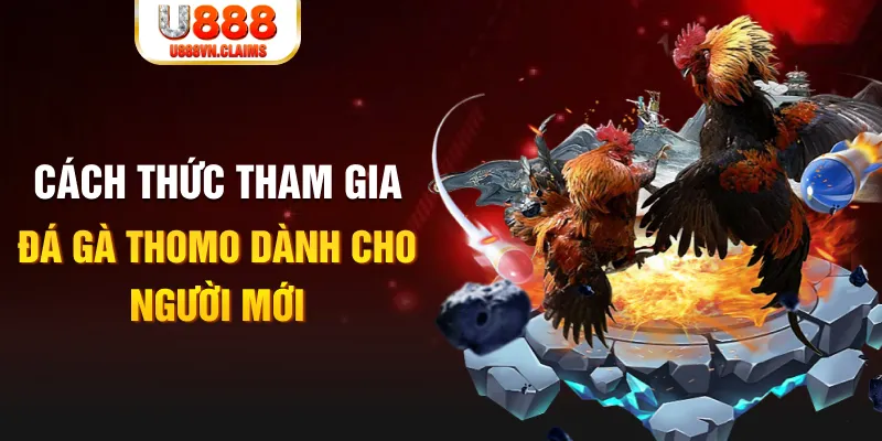 hit88 kết quả xổ số miền nam