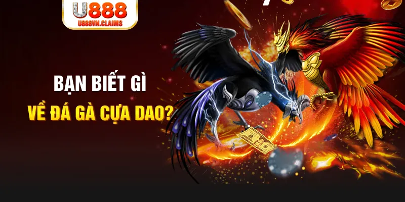 hit88 xổ số kiến thiết