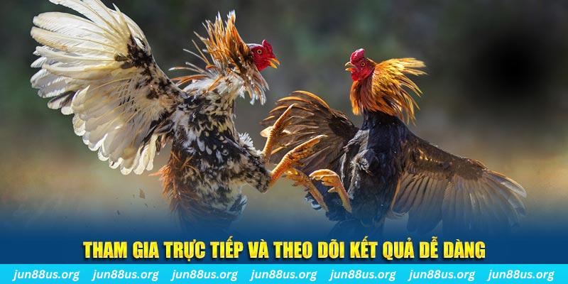 hit88 đá gà trực tiếp bình luận viên