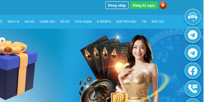 hit88 slot là gì dịch