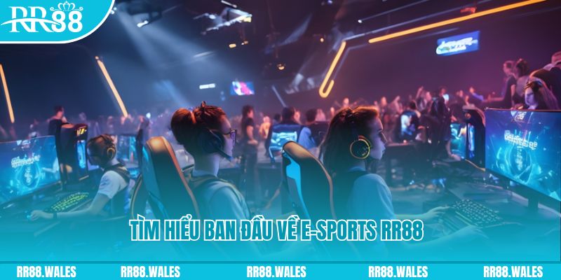 hit88 Đĩa màu ace