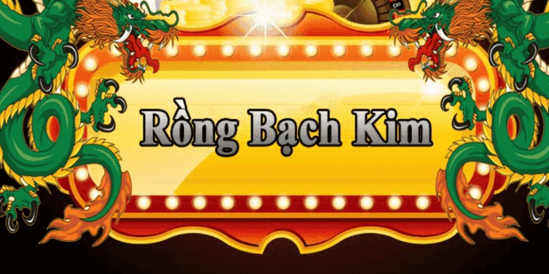 hit88 đăng nhập roulette 2025