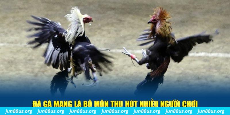 hit88 xổ số cà mau
