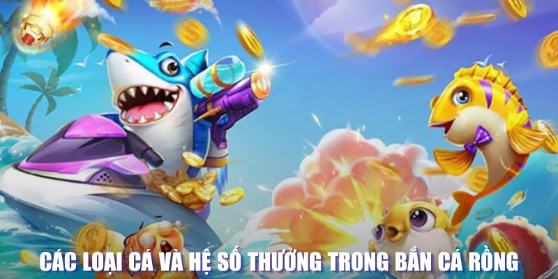 hit88 loi game dot kich ket noi may chu that bai