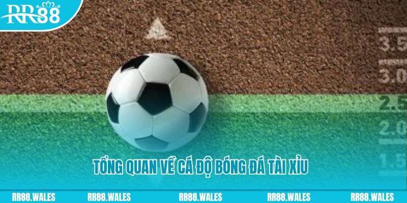 hit88 đăng nhập lô đề online