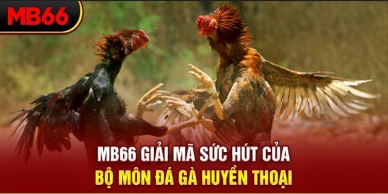 hit88 Phi Đội Ưu Tú