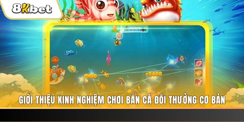 hit88 xổ số miền bắc thứ năm hàng tuần