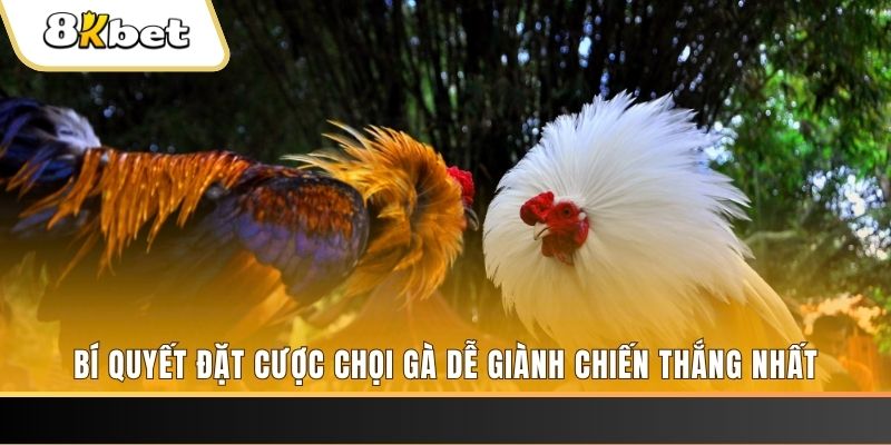 hit88 Tài Xỉu 2