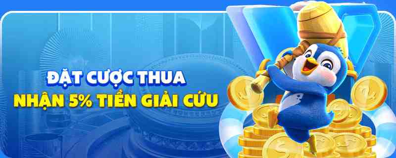 hit88 gà chọi cu cần