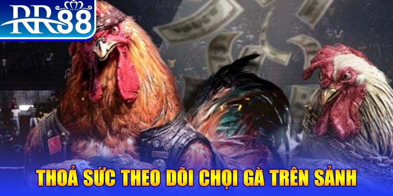 hit88 đá gà 88.com