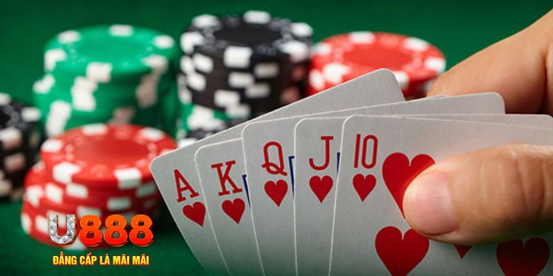 hit88 trực tiếp đá gà